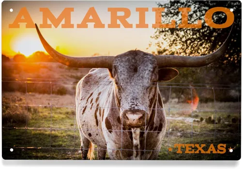 Lantern Press Letrero de metal de 6 x 9 pulgadas, Amarillo, Texas, Longhorn y Sunset